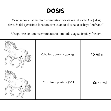 Concentrado de electrolitos, vitamina B para recuperación optima (1L) Refuel Liquid-FORAN - Imagen 3